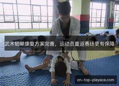 武术韧带康复方案完善，运动员重返赛场更有保障